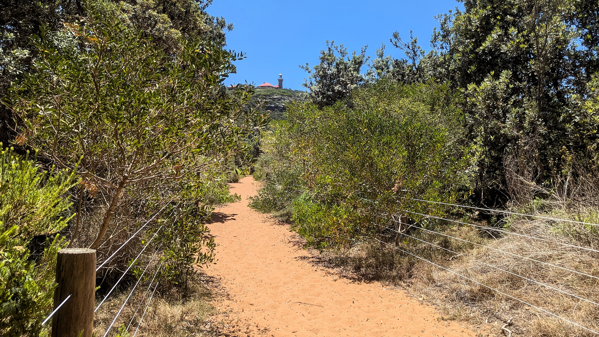 barrenjoey track (1)